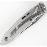 Leatherman Multitool SKELETOOL KBX silber, 2 Tools