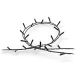 Philips Hue Hue White & Color Ambiance Festavia Lichterkette 40m 