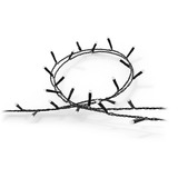 Philips Hue White & Color Ambiance Festavia Lichterkette 40m 