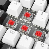 Sharkoon SKILLER SGK50 S2, Gaming-Tastatur weiß, BE-Layout, Gateron Red