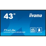 iiyama ProLite LE4341S-B2, Public Display schwarz (glänzend), FullHD, IPS, Mediaplayer