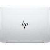 HP EliteBook 8 G1a (AD3E2ET), Notebook silber, AMD Ryzen 5 230, AMD Radeon 760M, 16 GB LPDDR5X, 512 GB (512 GB SSD), Windows 11 Pro