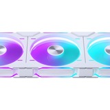 Phanteks D30-140 PWM Reverse DRGB, Gehäuselüfter weiß, 140 mm