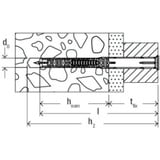 fischer Langschaftdübel DuoXpand 10x100 T R hellgrau/rot, 50 Stück