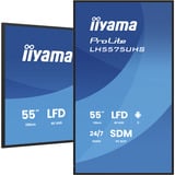 iiyama ProLite LH5575UHS-B2AG, Public Display schwarz (matt), UltraHD/4K, IPS, Lautsprecher, Daisy Chain