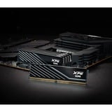 ADATA DIMM 32 GB DDR5-5600 (2x 16 GB) Dual-Kit, Arbeitsspeicher schwarz, AX5U5600C4616G-DTLABBK, XPG Lancer Blade, INTEL XMP, AMD EXPO