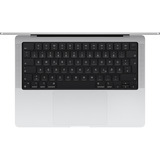 Apple MacBook Pro (14") 2025 CTO, Notebook silber, 24 GB, 1 TB (1 TB SSD), M5, MacOS, Deutsch, Nanotexturglas