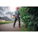 EINHELL Akku-Motorsense AGILLO 36/255 BL-Solo, 36Volt (2x18V) rot/schwarz, ohne Akku und Ladegerät
