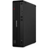 Lenovo ThinkCentre M70s Gen 6 (12YK003EGE), PC-System schwarz, Windows 11 Pro
