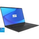 Schenker VISION 14 (10505953), Notebook grau, Windows 11 Home 64-BIt, 90 Hz Display