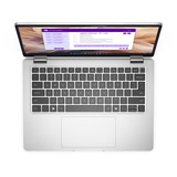 Dell Pro 13 Plus (YXWNP), Notebook silber, Intel® Core™ Ultra 5 235U, Intel® Graphics, 16 GB LPDDR5, 512 GB (512 GB SSD), Windows 11 Pro