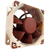 Noctua NF-A6x25 FLX, Gehäuselüfter braun/weiß