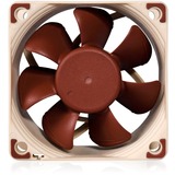 Noctua NF-A6x25 FLX, Gehäuselüfter braun/weiß