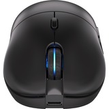 ENDORFY Gem Plus Wireless, Gaming-Maus schwarz