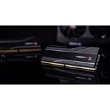 G.Skill DIMM 48 GB DDR5-8000 (2x 24 GB) Dual-Kit, Arbeitsspeicher schwarz, F5-8000J4048G24GX2-TZ5N, Trident Z5 NEO, AMD EXPO