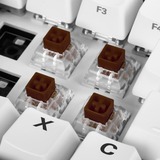 Sharkoon Kailh Box Brown Switch-Set, Tastenschalter braun/transparent, 35 Stück