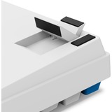 Sharkoon SKILLER SGK50 S2 PBT, Gaming-Tastatur weiß, BE-Layout, Gateron G Pro 3.0 Yellow