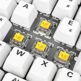 Sharkoon SKILLER SGK50 S2 PBT, Gaming-Tastatur weiß, BE-Layout, Gateron G Pro 3.0 Yellow