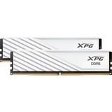 ADATA DIMM 32 GB DDR5-6000 (2x 16 GB) Dual-Kit, Arbeitsspeicher weiß, AX5U6000C3416G-DTLABRWH, XPG Lancer Blade RGB, INTEL XMP, AMD EXPO