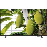 Philips 43PUS7000, LED-Fernseher 108 cm (43 Zoll), schwarz, UltraHD/4K,Tripple Tuner, WLAN, Bluetooth