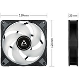 ARCTIC P12 PWM PST A-RGB 0dB 120x120x25, Gehäuselüfter schwarz, 120 mm