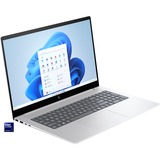 HP ENVY 17-da0075ng, Notebook silber, Windows 11 Home 64-Bit, 43.9 cm (17.3 Zoll), 1 TB SSD