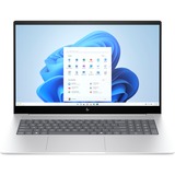 HP ENVY 17-da0075ng, Notebook silber, Windows 11 Home 64-Bit, 43.9 cm (17.3 Zoll), 1 TB SSD
