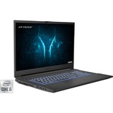 Medion ERAZER Defender P10 (30031534), Gaming-Notebook schwarz, Windows 10 Home 64-Bit, 1 TB SSD
