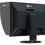 EIZO CG2400SV, Public Display schwarz, Broadcast Display, WUXGA, IPS, HDMI, DP, BNC
