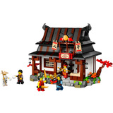 LEGO Ninjago 15-Jahre-Jubiläums-Bundle, Konstruktionsspielzeug 