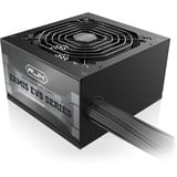 RAIJINTEK ERMIS EVO 850B, PC-Netzteil schwarz, 1x High Power GPU, 2x PCIe, 850 Watt