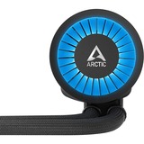 Arctic Liquid Freezer III 240 A-RGB, Wasserkühlung schwarz