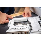 Crucial DIMM 64 GB DDR5-6000 (2x 32 GB) Dual-Kit, Arbeitsspeicher weiß, CP2K32G60C40U5W, PRO OC, INTEL XMP, AMD EXPO
