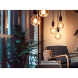 Philips HUE  White Filament Lampe E27 Giant Globe G125 550 lm, LED-Lampe 