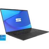 Schenker VISION 14 (10505957), Notebook grau, Windows 11 Home 64-BIt, 90 Hz Display