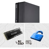 MSI MSI PRO DP80 A14A-296AT, PC-System schwarz, Windows 11 Home