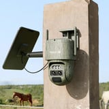 Reolink Reolink Trackmix Series G770 mit Solarpanel 2, Überwachungskamera tarnfarben