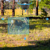 Reolink Reolink Trackmix Series G770 mit Solarpanel 2, Überwachungskamera tarnfarben