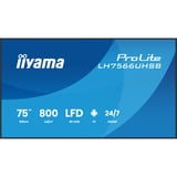 iiyama LH7566UHSB-B1AG, Public Display schwarz (matt), UltraHD/4K, VA, HDMI, USB-C