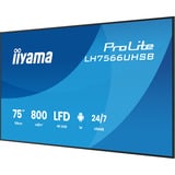 iiyama LH7566UHSB-B1AG, Public Display schwarz (matt), UltraHD/4K, VA, HDMI, USB-C