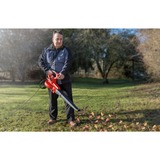 Einhell Laubsauger/Laubbläser GC-EL 3000 E rot/schwarz, 3.000 Watt