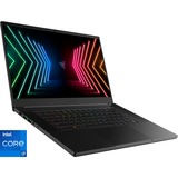 Razer Blade 15 (RZ09-0409AGD3-R3G1), Gaming-Notebook schwarz, Windows 10 Home 64-Bit, 240 Hz Display, 1 TB SSD