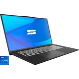 Schenker WORK 17 M23 (10506249), Notebook schwarz, Windows 11 Pro 64-Bit, 60 Hz Display, 1 TB SSD