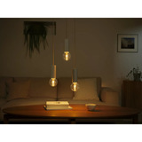 Philips HUE White & Color Ambiance Lightguide G95 Globe - Smarte Lampe E27, LED-Lampe 