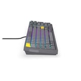 ENDORFY Celeris 1800, Gaming-Tastatur grau, US-Layout, ENDORFY Yellow by Gateron