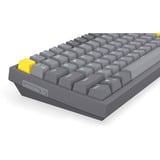 ENDORFY Celeris 1800, Gaming-Tastatur grau, US-Layout, ENDORFY Yellow by Gateron