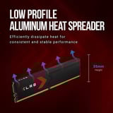 PNY DIMM 64 GB DDR5-6000 (2x 32 GB) Dual-Kit, Arbeitsspeicher schwarz, MD64GK2D5600030XR, XLR8 Gaming EPIC-X, INTEL XMP, AMD EXPO