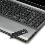 PNY CS2241 1 TB, SSD PCIe Gen4 x4