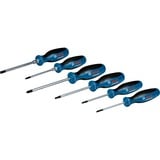 Bosch Schraubendreher-Set SL/PH/PZ/TX Professional, 6-teilig blau/schwarz, 2x mit Schlagkappe