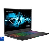 Medion ERAZER Beast X30 (30033746), Gaming-Notebook schwarz, Windows 11 Home 64-BIt, 240 Hz Display, 1 TB SSD